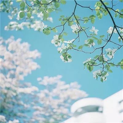 最新危险废物标志牌国标牌式样图