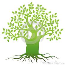 项目环评审批常见35个问题及解答（收藏版）